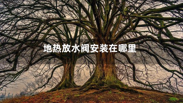 地热放水阀安装在哪里
