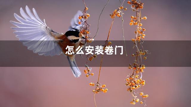 怎么安装卷门