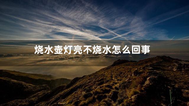 烧水壶灯亮不烧水怎么回事