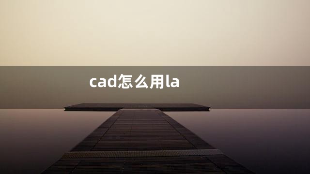 cad怎么用la