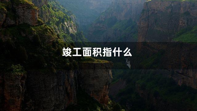 竣工面积指什么