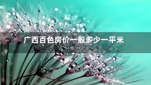 广西百色房价一般多少一平米