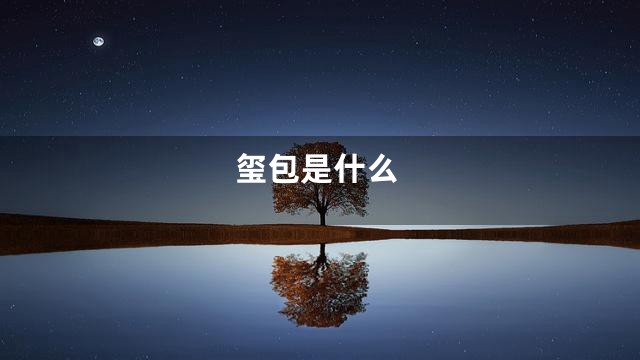 玺包是什么