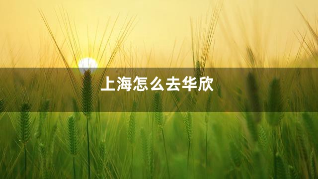 上海怎么去华欣