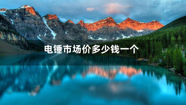 电锤市场价多少钱一个