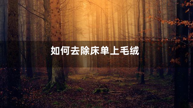 如何去除床单上毛绒