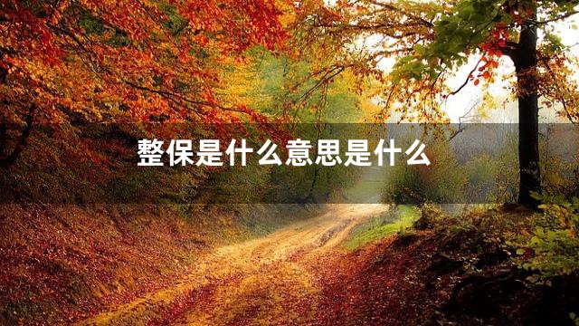 整保是什么意思是什么