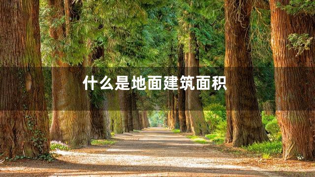 什么是地面建筑面积
