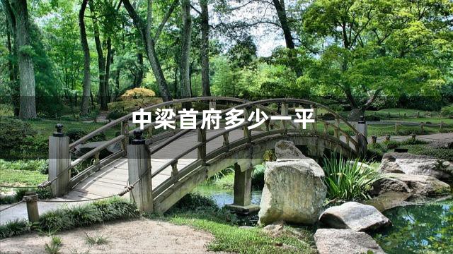 中梁首府多少一平