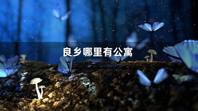 良乡哪里有公寓