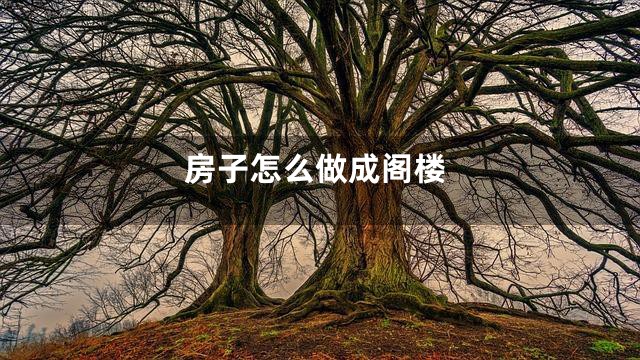 房子怎么做成阁楼