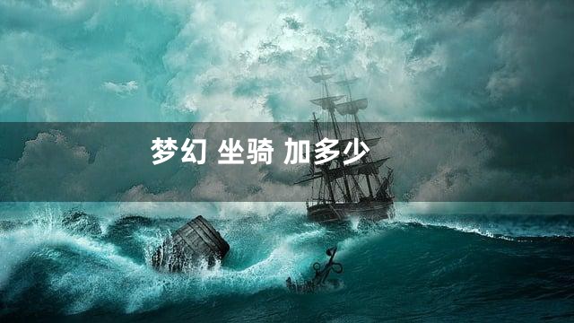 梦幻 坐骑 加多少