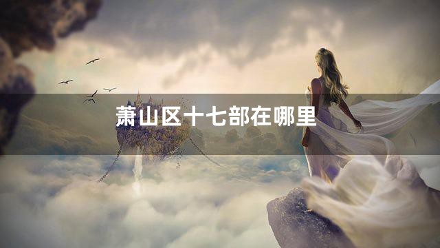 萧山区十七部在哪里