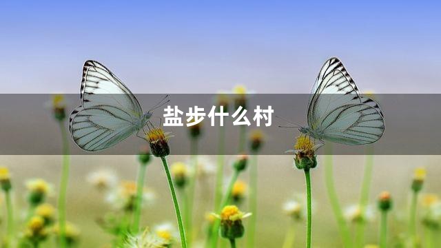 盐步什么村