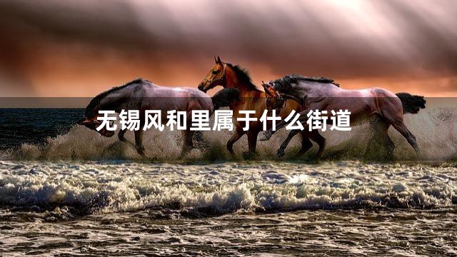 无锡风和里属于什么街道