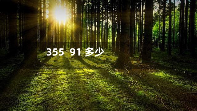 355  91 多少