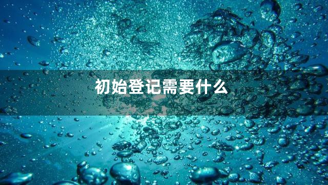 初始登记需要什么