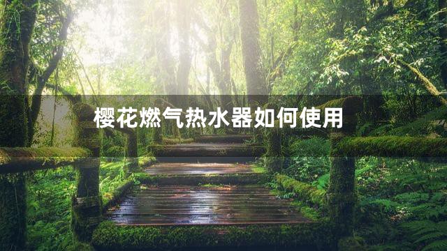 樱花燃气热水器如何使用