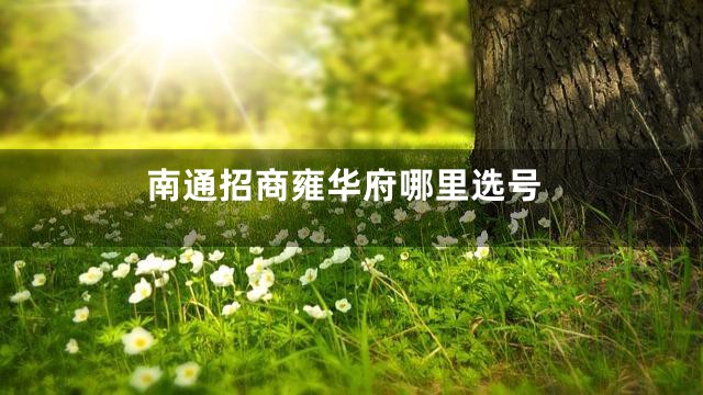 南通招商雍华府哪里选号