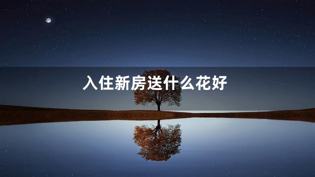 入住新房送什么花好