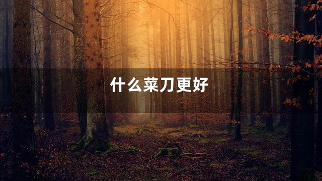 什么菜刀更好