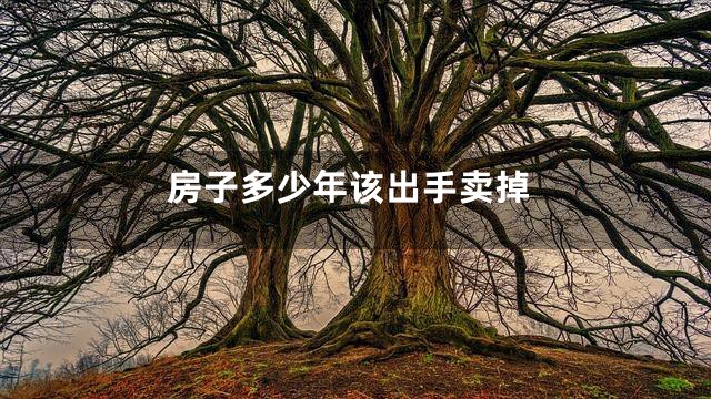 房子多少年该出手卖掉