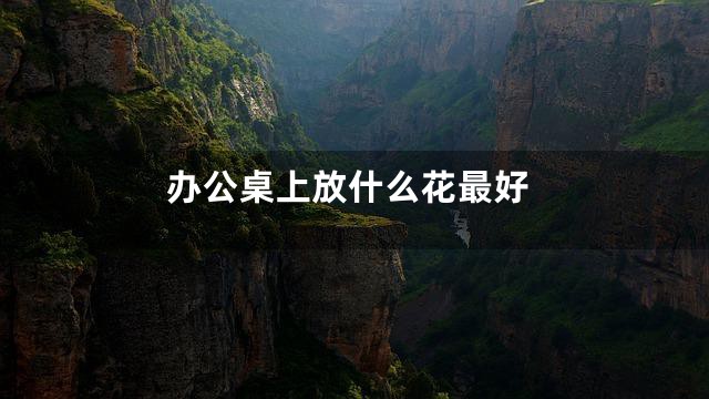 办公桌上放什么花最好