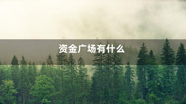 资金广场有什么