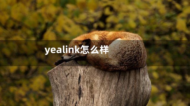 yealink怎么样