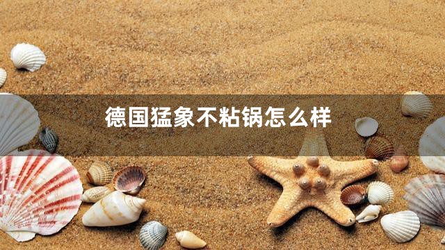 德国猛象不粘锅怎么样