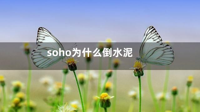 soho为什么倒水泥