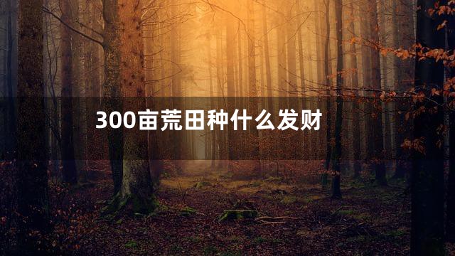300亩荒田种什么发财