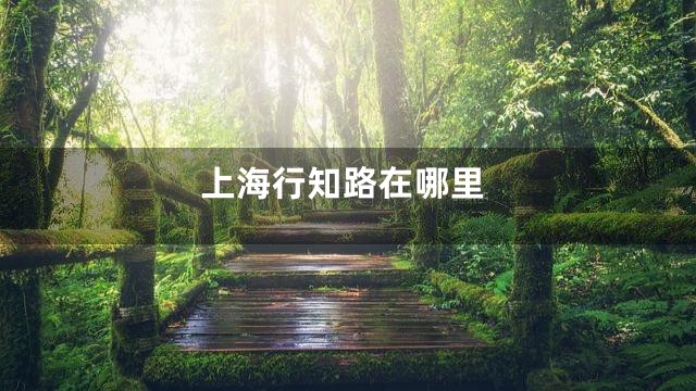 上海行知路在哪里