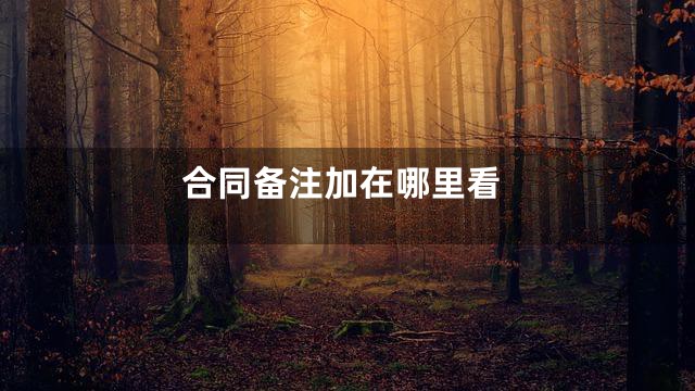 合同备注加在哪里看