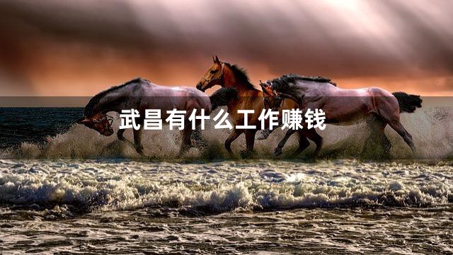 武昌有什么工作赚钱