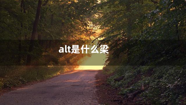 alt是什么梁