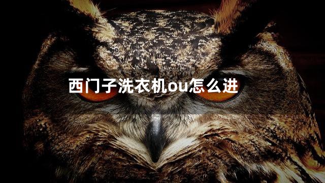 西门子洗衣机ou怎么进