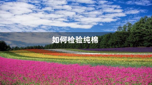 如何检验纯棉