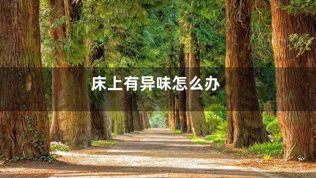 床上有异味怎么办