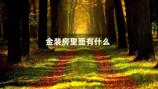 金装房里面有什么