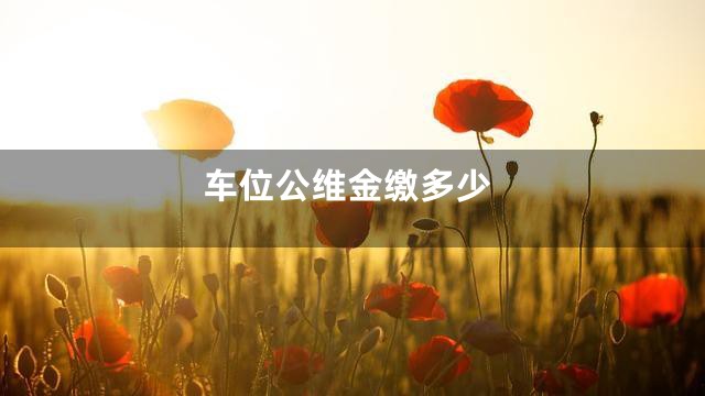 车位公维金缴多少