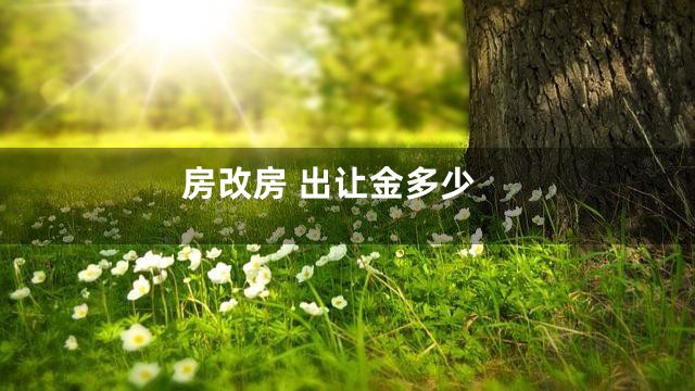 房改房 出让金多少