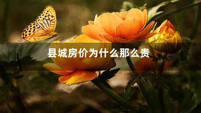 县城房价为什么那么贵
