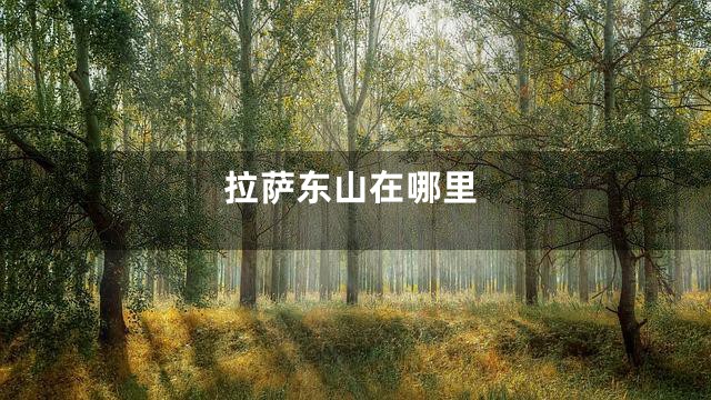拉萨东山在哪里