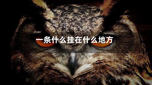 一条什么挂在什么地方