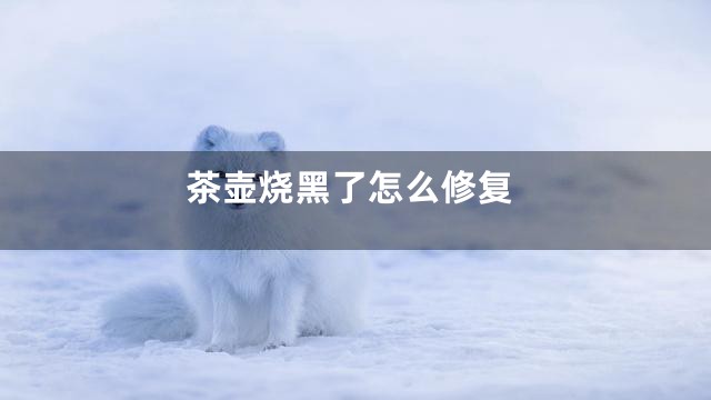 茶壶烧黑了怎么修复