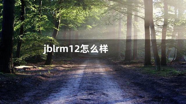 jblrm12怎么样