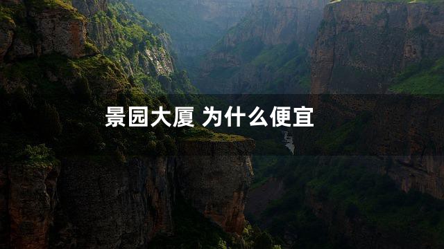 景园大厦 为什么便宜