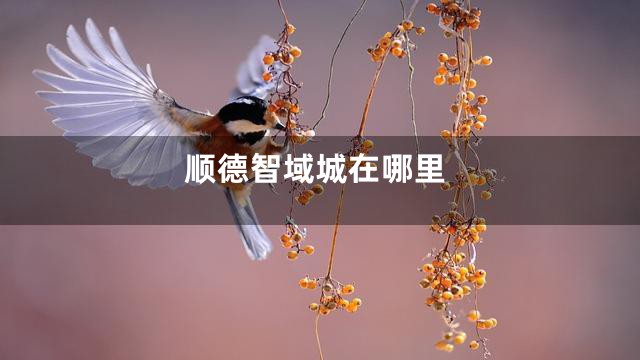 顺德智域城在哪里