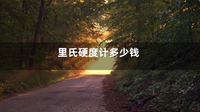 里氏硬度计多少钱